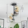 Ripoll Deckenleuchte Glas 15 cm Bernsteinfarben, Klar, Rauchfarben, 4-flammig