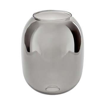 Lampenschirm aus Glas Apedo Ersatzglas 20 cm Rauchfarben