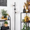 Ripoll Stehleuchte Glas 15 cm Klar, 3-flammig