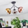 Koyoto Deckenleuchte Glas 15 cm Chrom, Gold, Klar, Kupferfarben, Rauchfarben, 3-flammig
