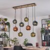 Ripoll Hängeleuchte Glas 20 cm Naturfarben, Schwarz, 8-flammig