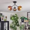 Ripoll Deckenleuchte Glas 15 cm Chrom, Gold, Klar, Kupferfarben, Rauchfarben, 3-flammig