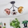 Ripoll Deckenleuchte Glas 15 cm Chrom, Gold, Klar, Kupferfarben, Rauchfarben, 3-flammig