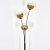 Koyoto Stehleuchte Glas 15 cm Gold, Klar, 3-flammig