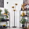 Koyoto Stehleuchte Glas 15 cm Gold, Klar, 3-flammig