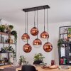 Gastor Hängeleuchte Glas 25 cm Klar, Kupferfarben, 6-flammig