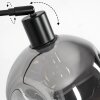 Ripoll Stehleuchte Glas 20 cm Schwarz, 1-flammig