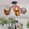 Ripoll Deckenleuchte Glas 15 cm Chrom, Gold, Kupferfarben, Rauchfarben, 5-flammig
