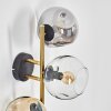 Ripoll Wandleuchte Glas 15 cm Gold, Schwarz, 3-flammig