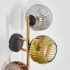 Ripoll Wandleuchte Glas 15 cm Gold, Schwarz, 3-flammig