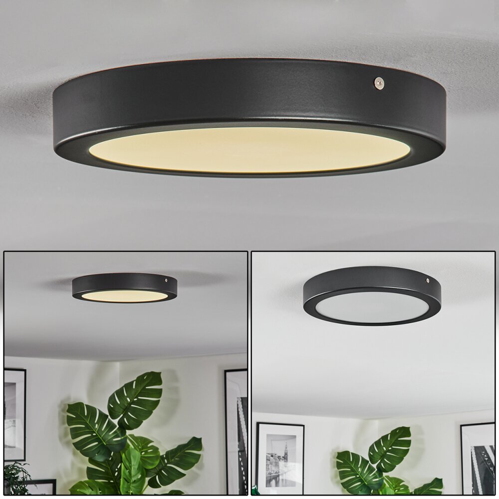 Isela Deckenleuchte LED Schwarz, 1-flammig main product photo