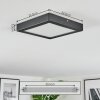 Isela Deckenleuchte LED Schwarz, 1-flammig