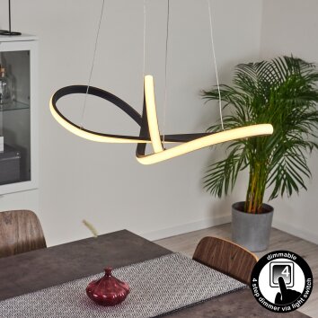 Ignal Hängeleuchte LED Schwarz, 1-flammig