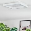 Xarel Deckenleuchte LED Weiß, 1-flammig