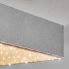 Esmar Deckenleuchte LED Silber, 1-flammig