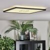Simonstorp Deckenleuchte LED Schwarz, Weiß, 1-flammig
