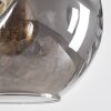 Ripoll Hängeleuchte Glas 20 cm Bernsteinfarben, Rauchfarben, 8-flammig