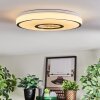 Loron Deckenleuchte LED Silber, Weiß, 1-flammig