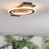 Lidor Deckenleuchte LED Schwarz, Silber, 1-flammig