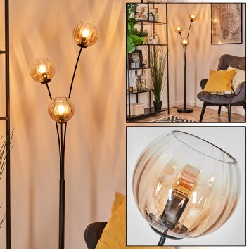 Koyoto Stehleuchte Glas 15 cm Bernsteinfarben, Klar, 3-flammig