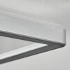 Simonstorp Deckenleuchte LED Silber, Weiß, 1-flammig