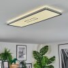 Simonstorp Deckenleuchte LED Silber, Weiß, 1-flammig
