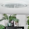 Ipres Deckenleuchte LED Silber, Weiß, 1-flammig