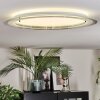 Ipres Deckenleuchte LED Silber, Weiß, 1-flammig
