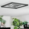 Ilyan Deckenleuchte LED Schwarz, 1-flammig