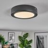 Isela Deckenleuchte LED Schwarz, 1-flammig