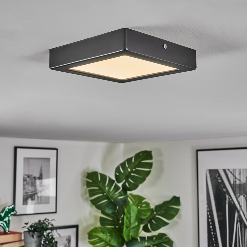 Isela Deckenleuchte LED Schwarz, 1-flammig