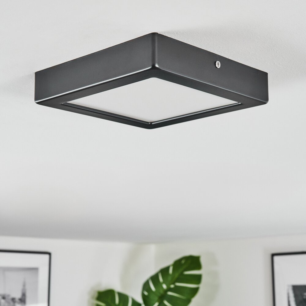 Isela Deckenleuchte LED Schwarz, 1-flammig