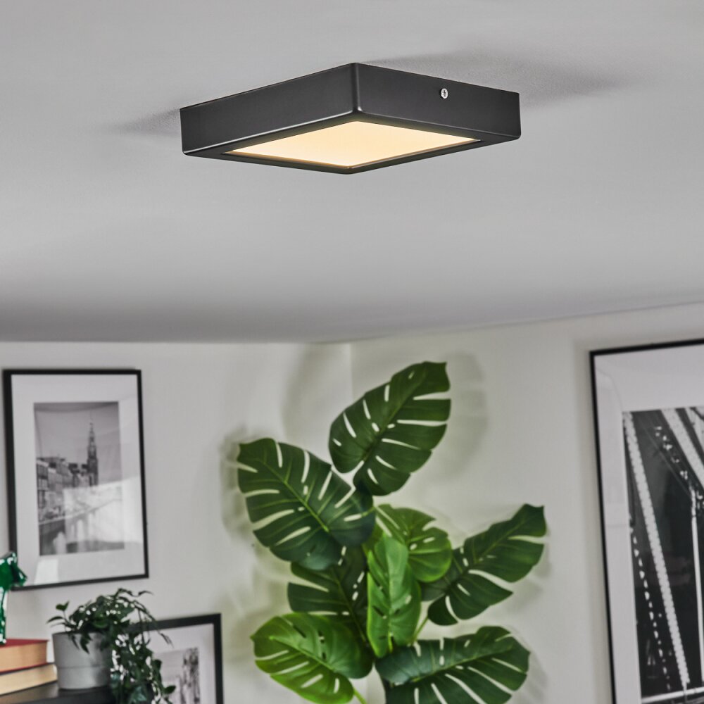 Isela Deckenleuchte LED Schwarz, 1-flammig
