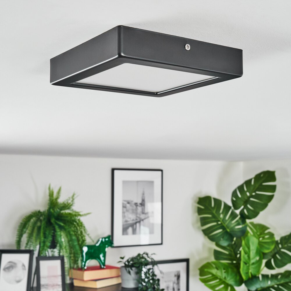Isela Deckenleuchte LED Schwarz, 1-flammig