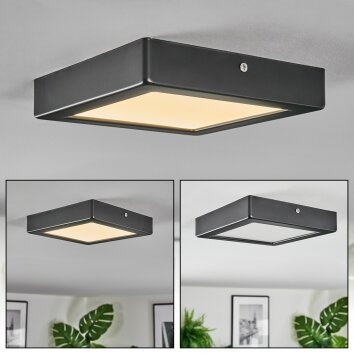 Isela Deckenleuchte LED Schwarz, 1-flammig