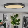 Isela Deckenleuchte LED Schwarz, 1-flammig