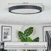 Isela Deckenleuchte LED Schwarz, 1-flammig