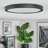 Isela Deckenleuchte LED Schwarz, 1-flammig