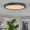 Isela Deckenleuchte LED Schwarz, 1-flammig