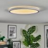 Xarel Deckenleuchte LED Weiß, 1-flammig