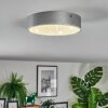 Elmar Deckenleuchte LED Silber, 1-flammig