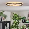 Ilyan Deckenleuchte LED Schwarz, 1-flammig