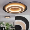 Lidor Deckenleuchte LED Schwarz, 1-flammig