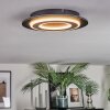Lidor Deckenleuchte LED Schwarz, 1-flammig