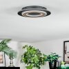 Lidor Deckenleuchte LED Schwarz, 1-flammig
