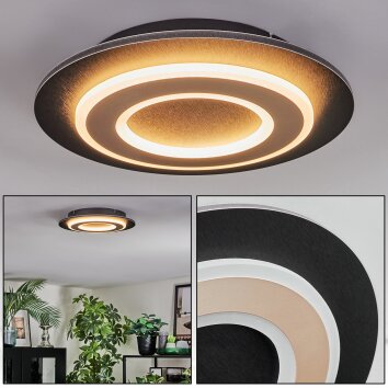 Lidor Deckenleuchte LED Schwarz, 1-flammig