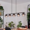 Koyoto Pendelleuchte Glas 15 cm Klar, Rauchfarben, 5-flammig