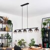 Koyoto Pendelleuchte Glas 15 cm Klar, Rauchfarben, 5-flammig