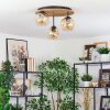 Ripoll Deckenleuchte Glas 15 cm Naturfarben, Schwarz, 3-flammig