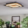 Lidor Deckenleuchte LED Schwarz, 1-flammig